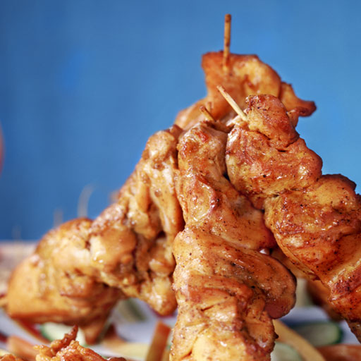 Barbecue Recipes HD